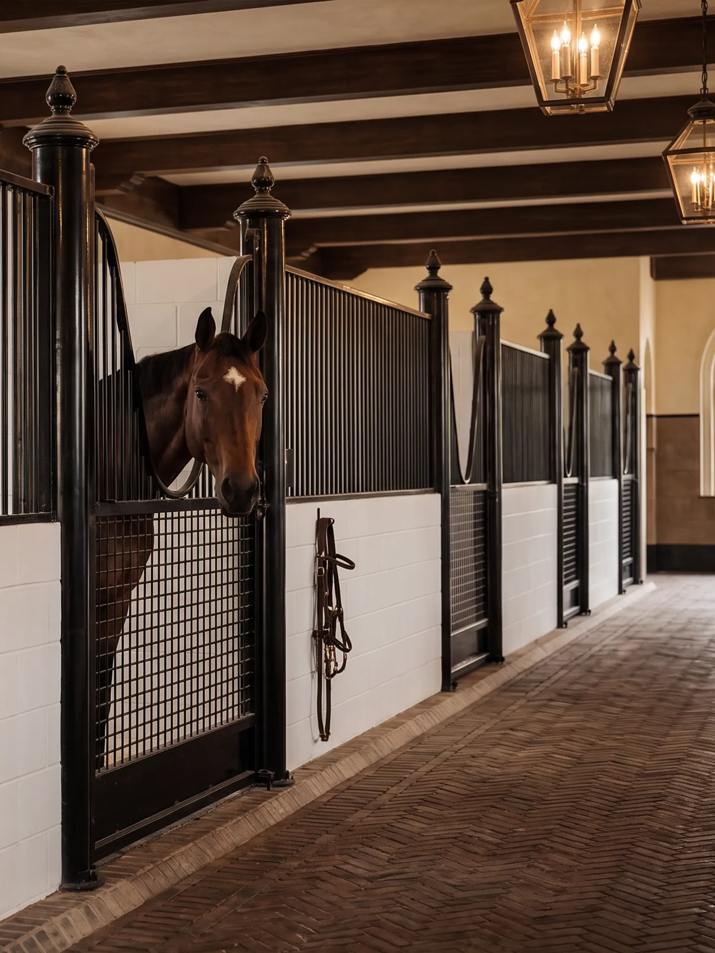 A horse looking out from a stable